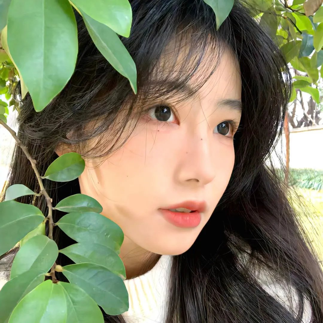 怒吼狂花